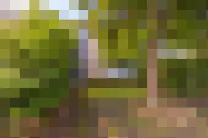 Keurnotenlaan 7 Gieten thumbnail 9