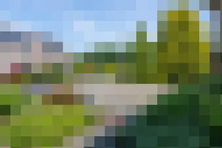 Keurnotenlaan 9 Rolde thumbnail 10
