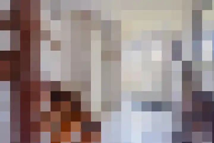 Keurnotenlaan 9 Rolde thumbnail 11
