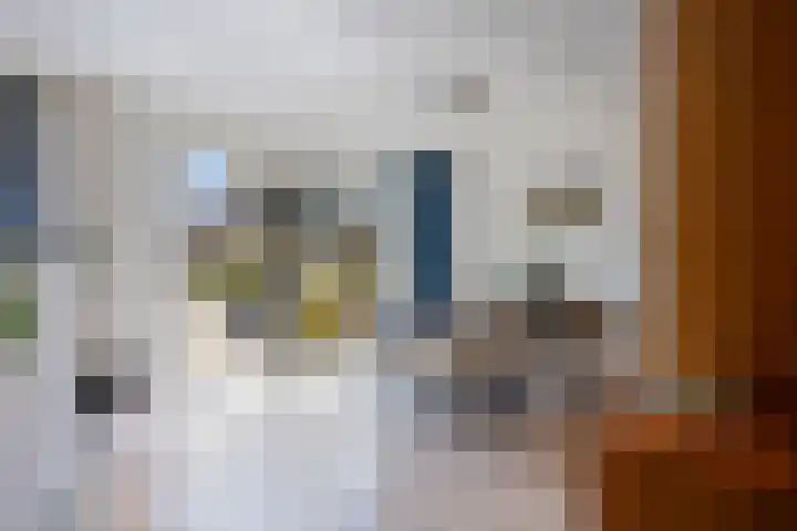 Keurnotenlaan 9 Rolde thumbnail 18