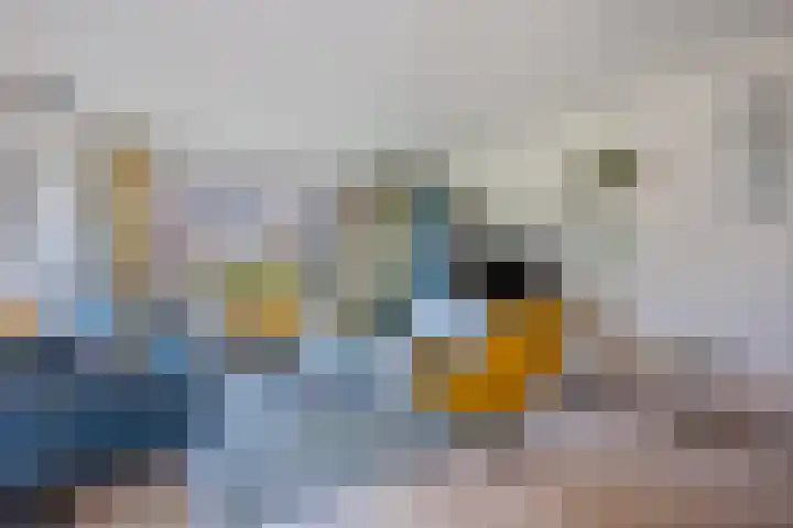 Keurnotenlaan 9 Rolde foto 2