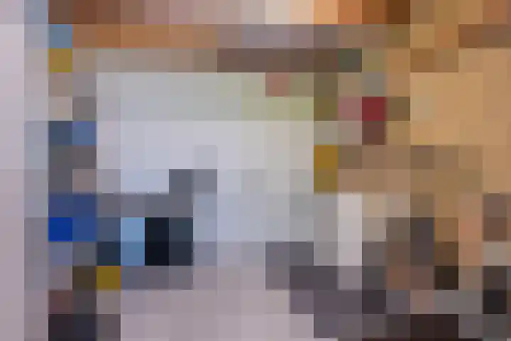 Keurnotenlaan 9 Rolde thumbnail 32