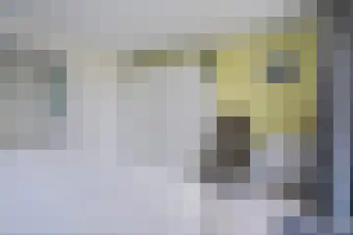 Keurnotenlaan 9 Rolde thumbnail 36