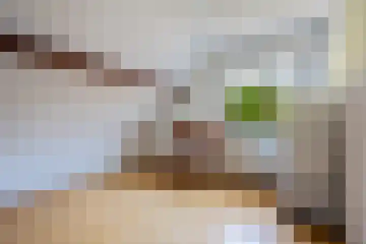 Keurnotenlaan 9 Rolde thumbnail 45