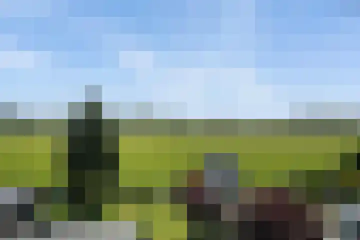 Keurnotenlaan 9 Rolde thumbnail 5