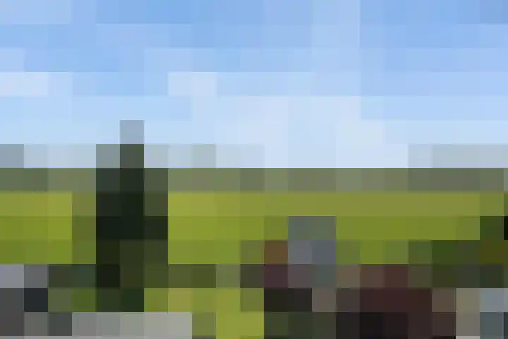 Keurnotenlaan 9 Rolde thumbnail 52
