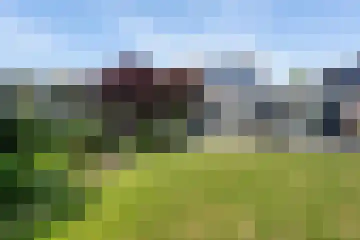 Keurnotenlaan 9 Rolde thumbnail 64