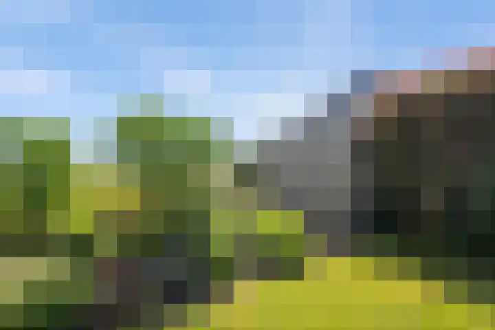 Keurnotenlaan 9 Rolde thumbnail 65