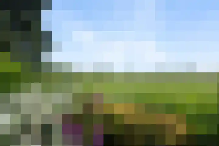 Keurnotenlaan 9 Rolde thumbnail 66