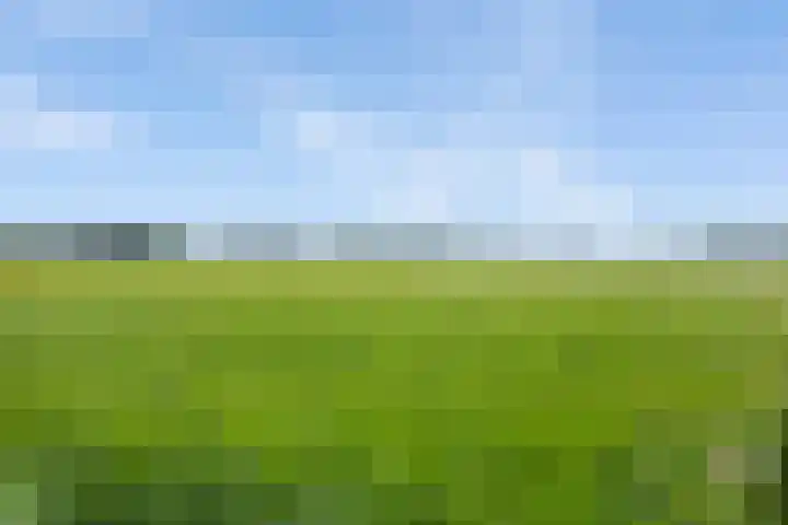 Keurnotenlaan 9 Rolde thumbnail 67
