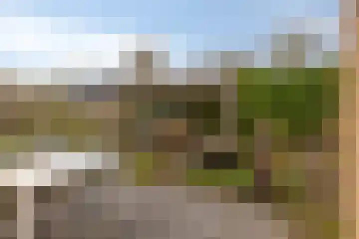 Keurvorsterhof 7 Valkenswaard thumbnail 38