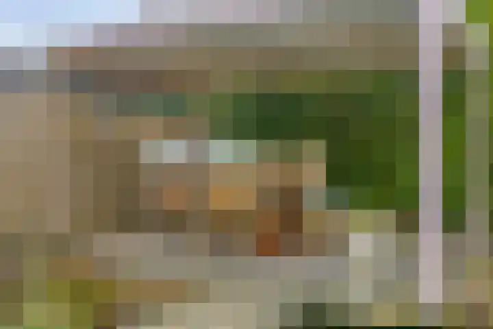 Keurvorsterhof 7 Valkenswaard thumbnail 39