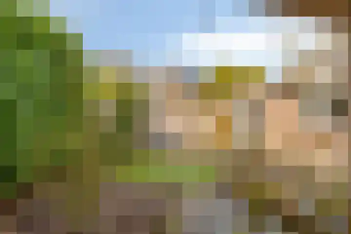 Keurvorsterhof 7 Valkenswaard thumbnail 41