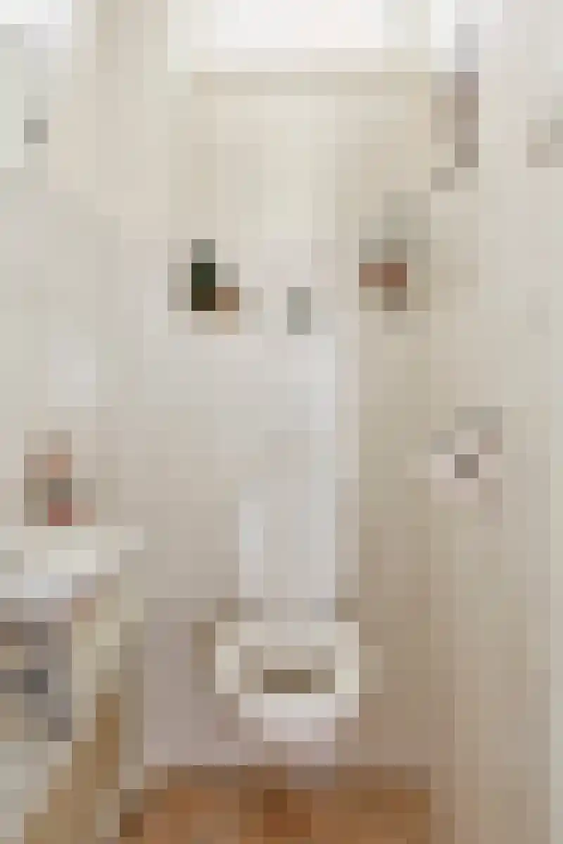 Keurvorsterstede 8 Cuijk thumbnail 11