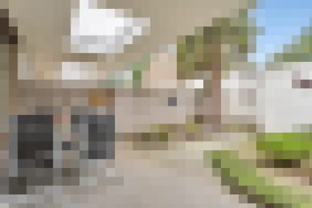 Keurvorsterstede 8 Cuijk thumbnail 36