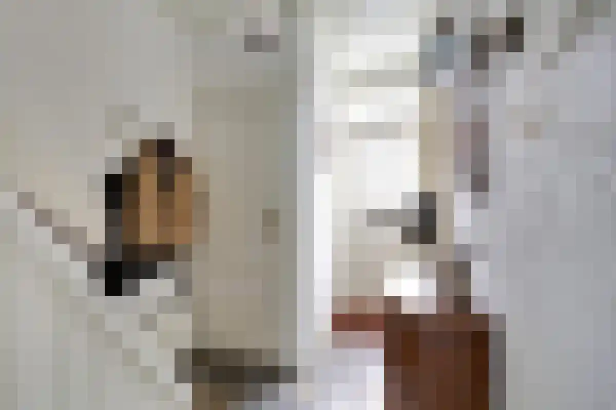 Keurvorsterstede 8 Cuijk thumbnail 9