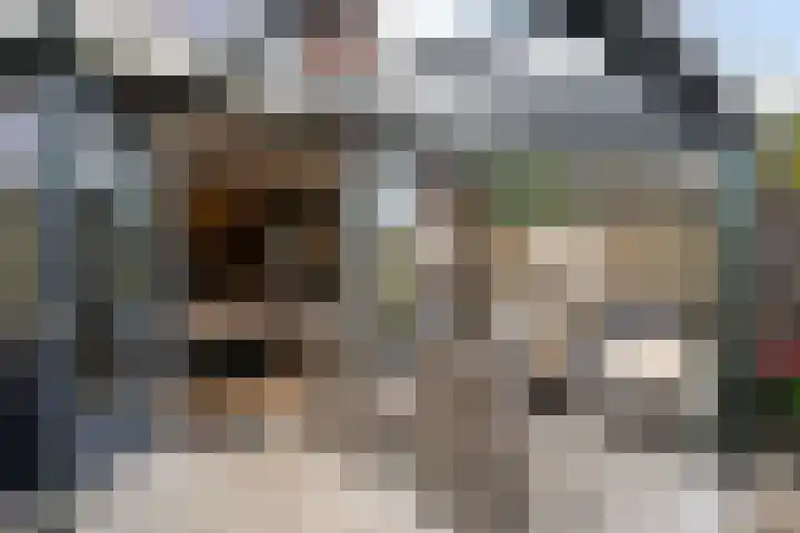 Keurvorstsingel 1 Huissen thumbnail 23