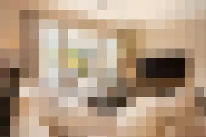 Keurvorstsingel 1 Huissen thumbnail 7