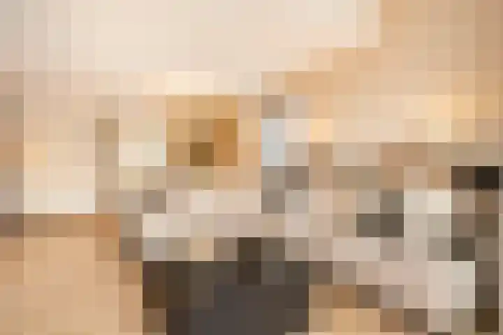 Keurvorstsingel 1 Huissen thumbnail 8