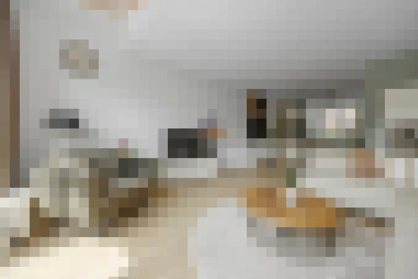 Keurvorstsingel 10 Huissen thumbnail 13