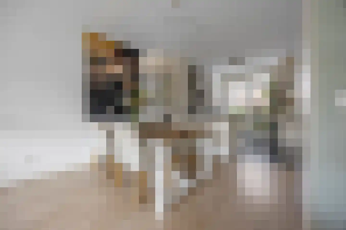 Keurvorstsingel 10 Huissen thumbnail 14