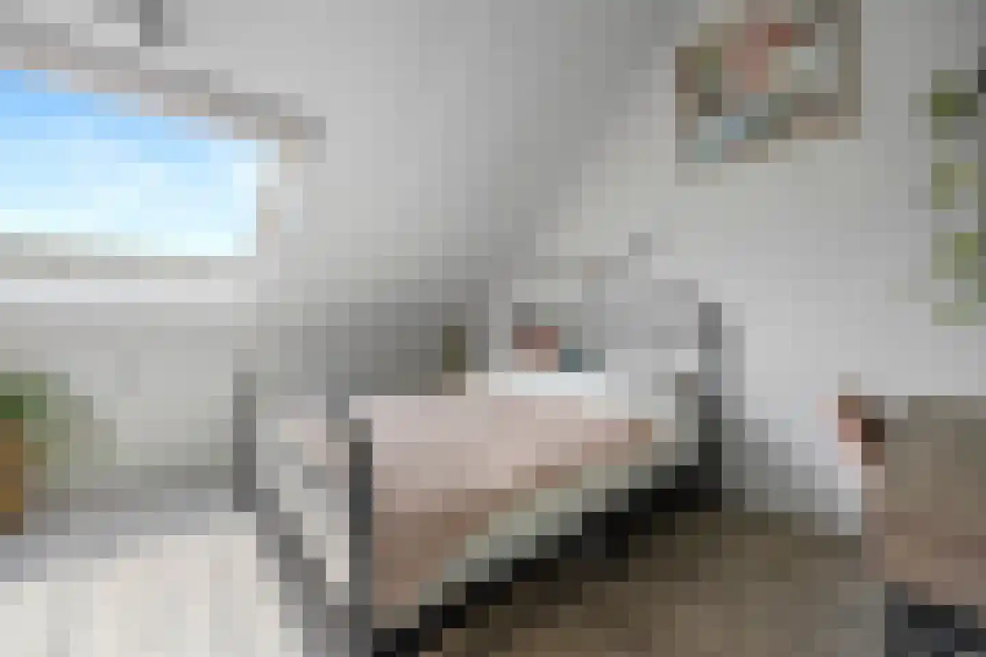 Keurvorstsingel 10 Huissen thumbnail 22