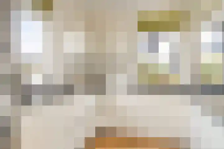 Keutenberg 10 Zeewolde thumbnail 14