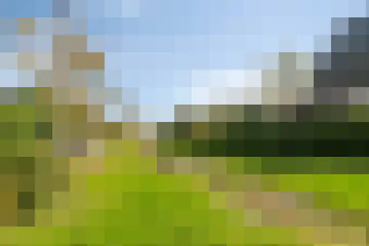 Keutenberg 10 Zeewolde thumbnail 36