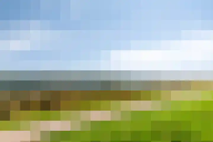 Keutenberg 10 Zeewolde thumbnail 39