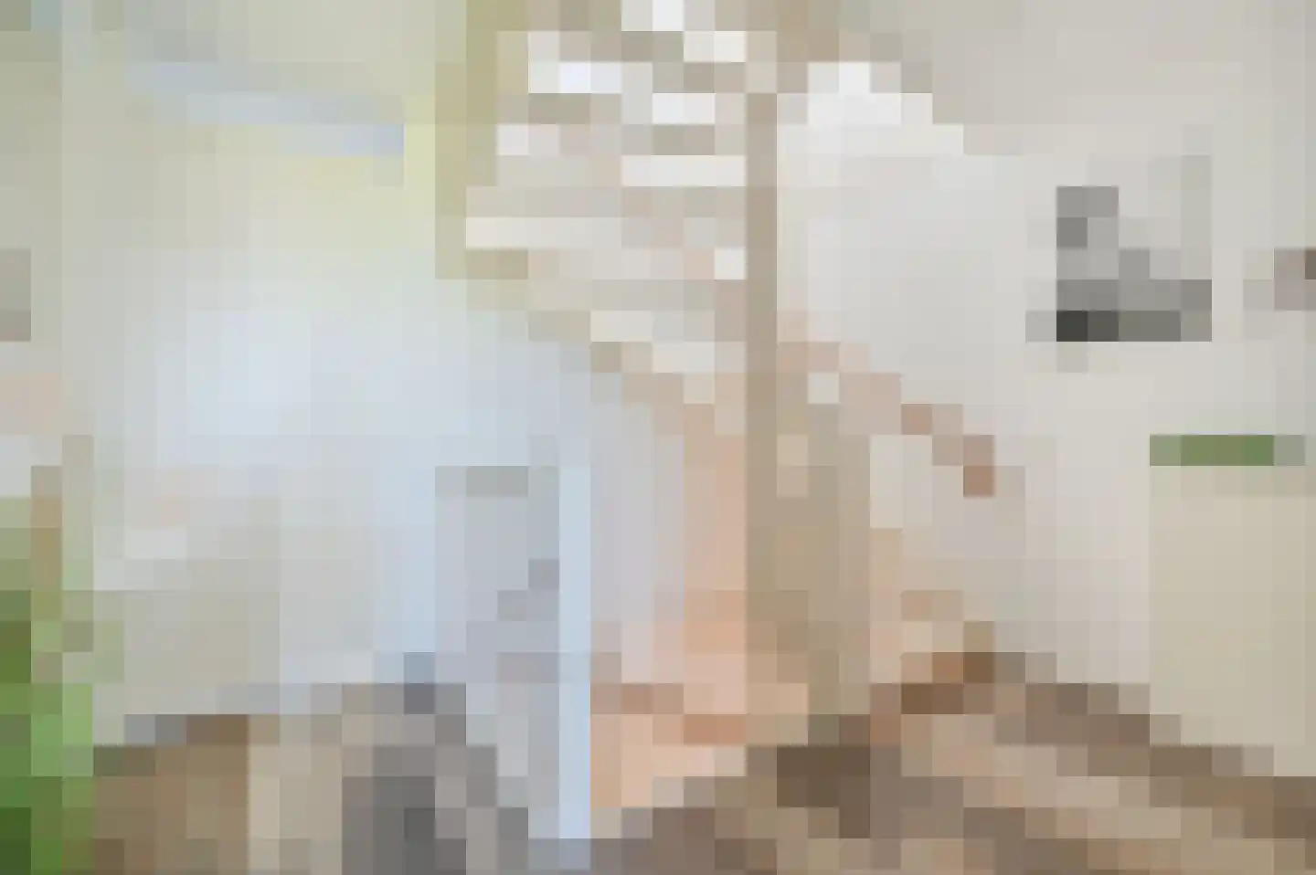 Keutenberg 4 Zeewolde thumbnail 27