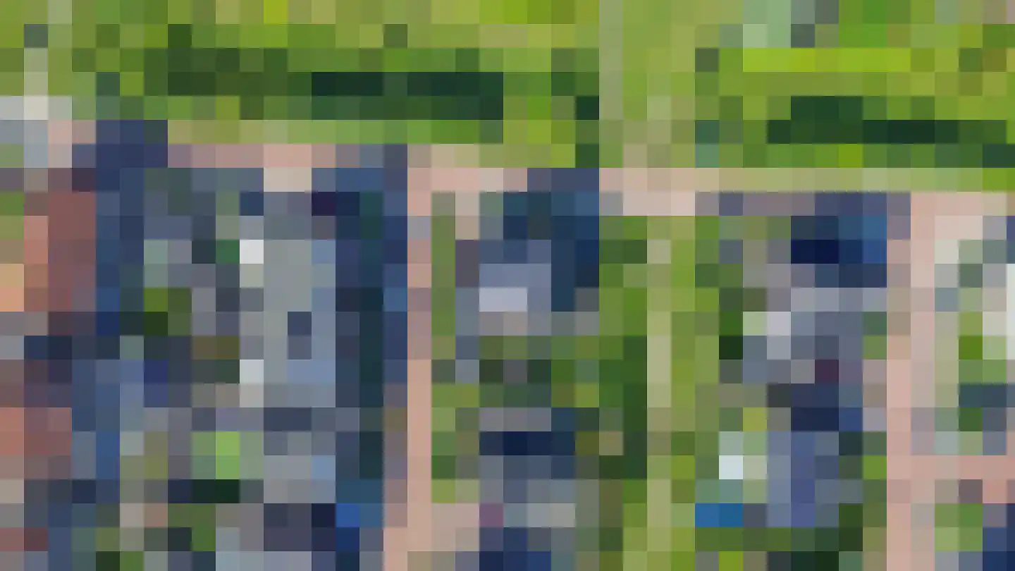 Keutenberg 4 Zeewolde thumbnail 49