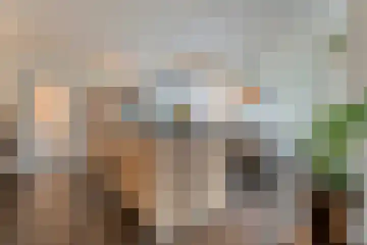 Keuterbrink 1 Dalen thumbnail 12