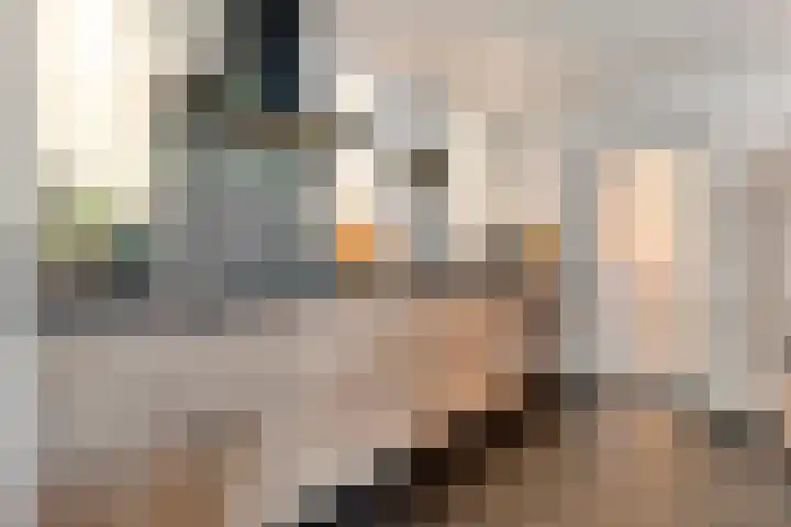 Keuterbrink 1 Dalen thumbnail 13