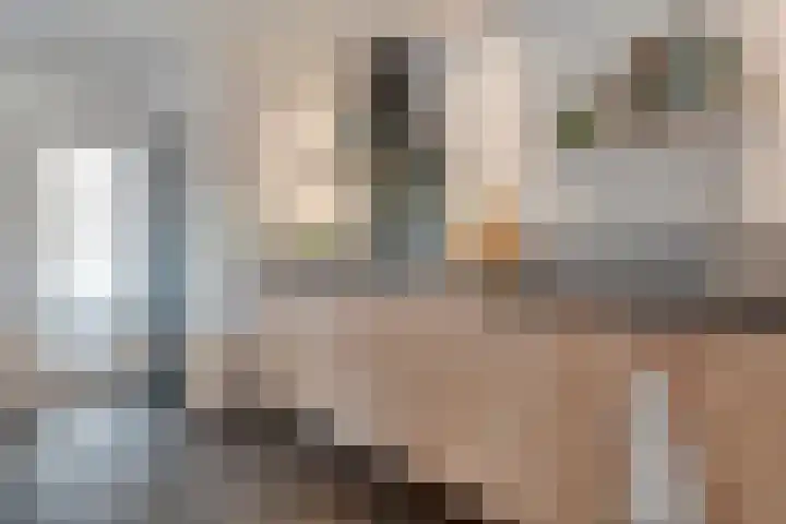 Keuterbrink 1 Dalen thumbnail 15