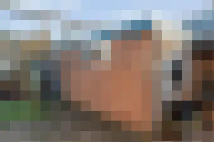 Keuterbrink 1 Dalen thumbnail 54