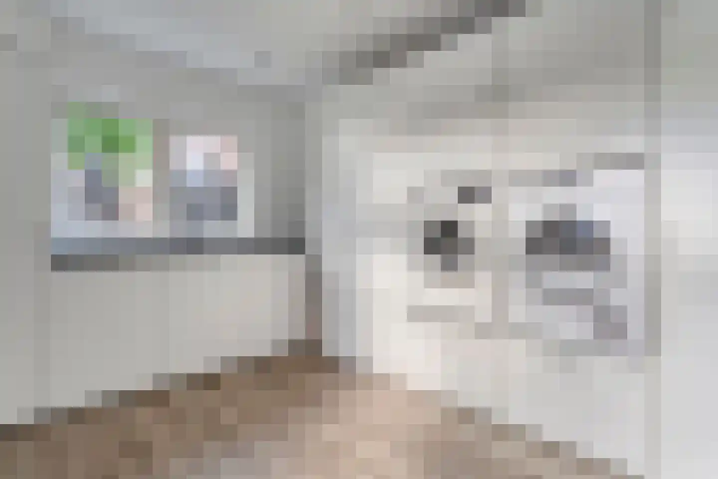 Keuterbrink 2 Dalen thumbnail 25