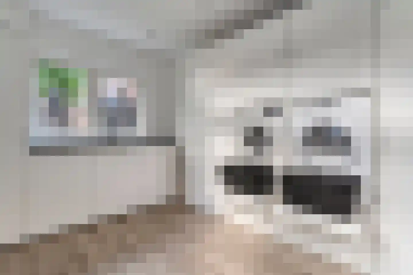 Keuterbrink 2 Dalen thumbnail 26