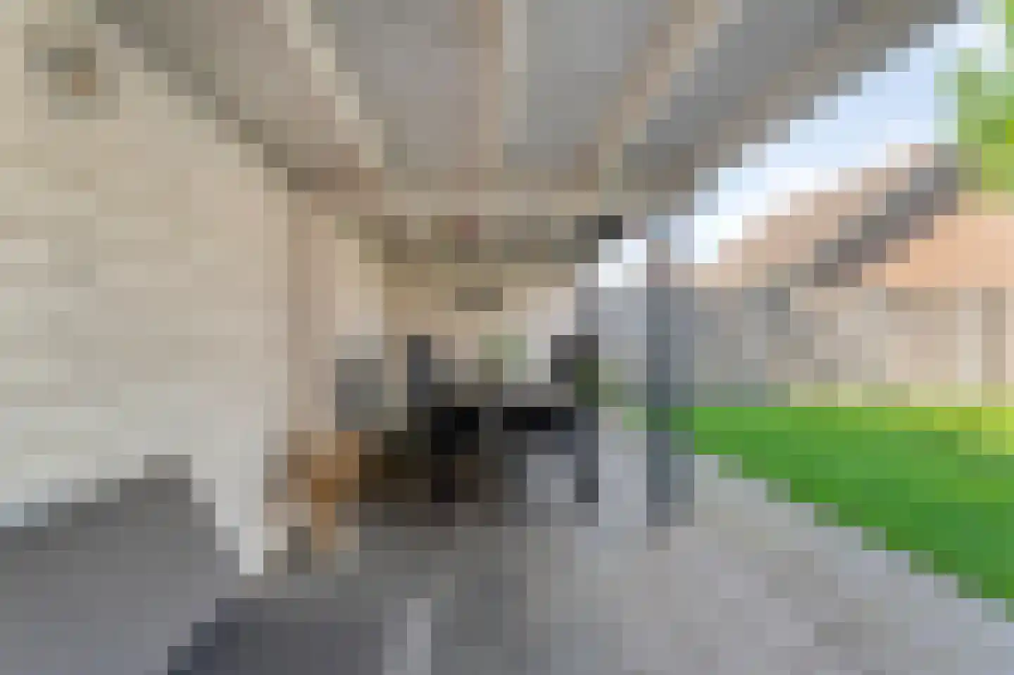 Keuterbrink 2 Dalen thumbnail 50