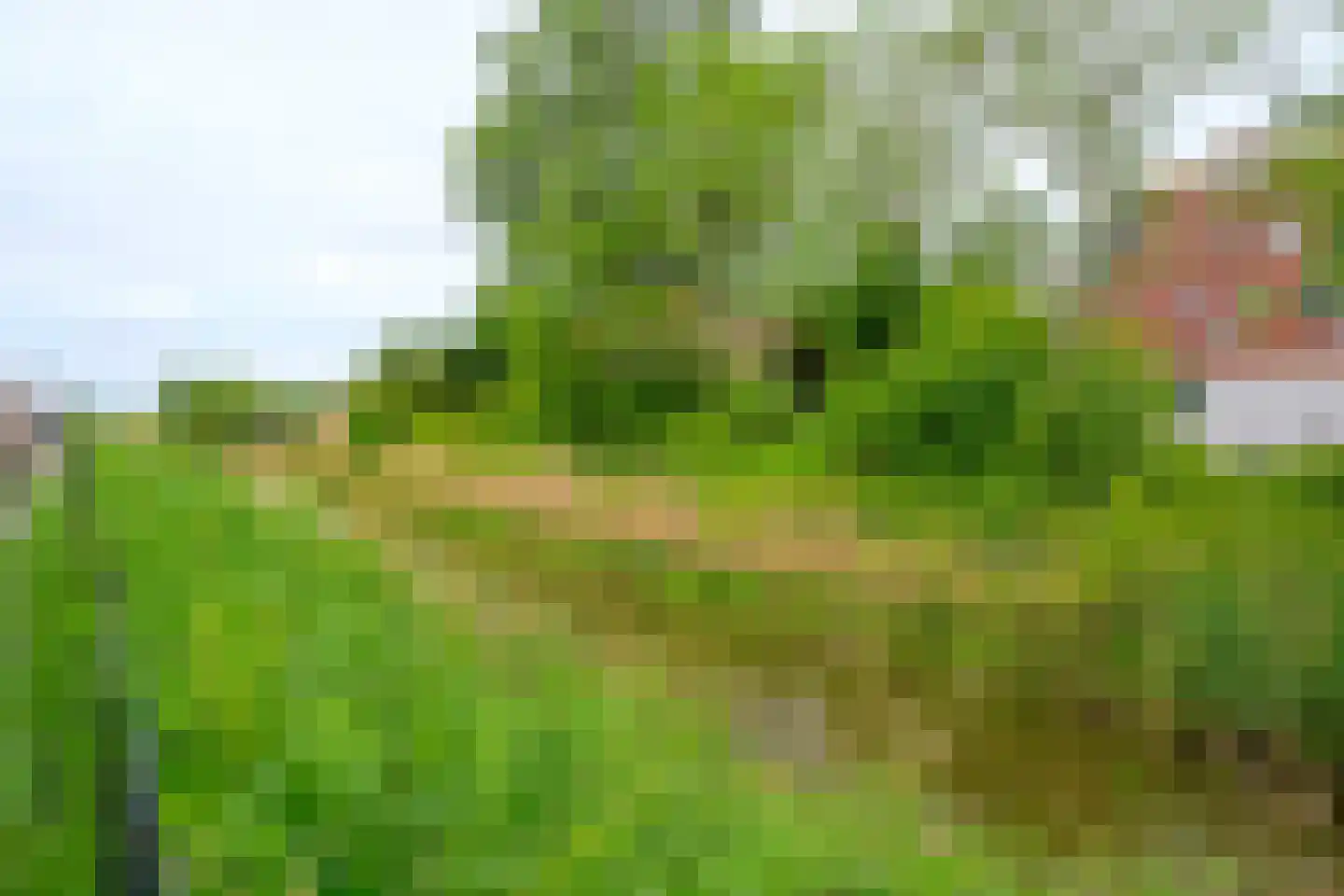 Keuvel 4 Sint Maarten thumbnail 32