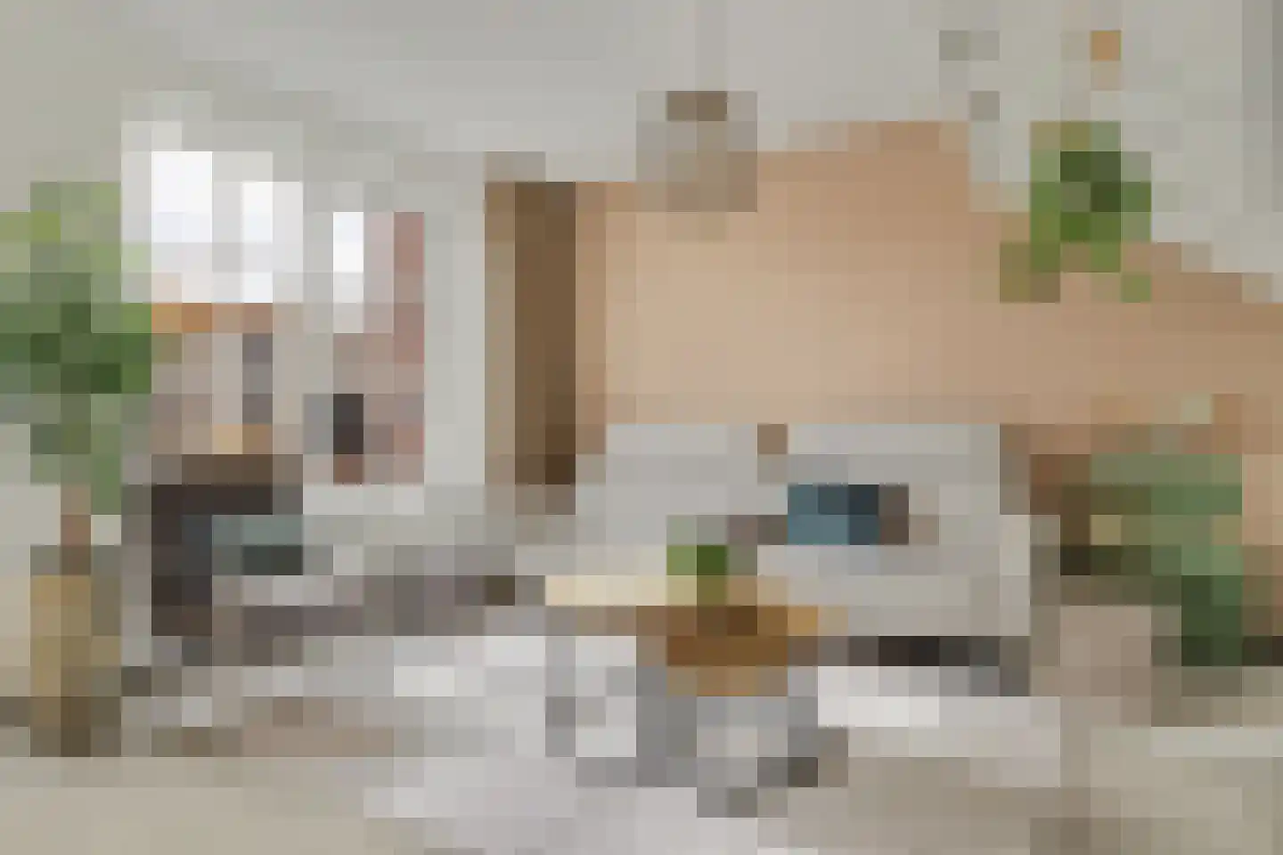 Keuvel 9 Sint Maarten thumbnail 10