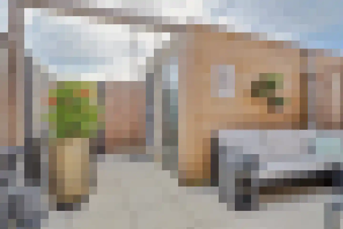 Keuvel 9 Sint Maarten thumbnail 21