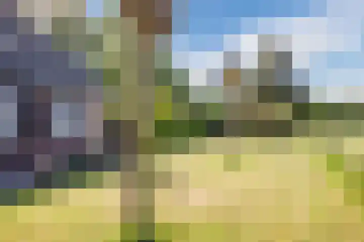 Kevelderstraat 2 Zieuwent thumbnail 45