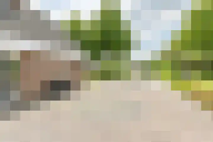 Kevelinglaan 8 Valthermond thumbnail 12