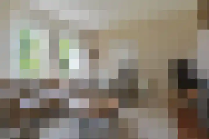 Kevelinglaan 8 Valthermond thumbnail 18
