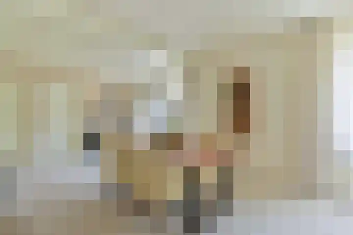 Kevelinglaan 8 Valthermond thumbnail 22