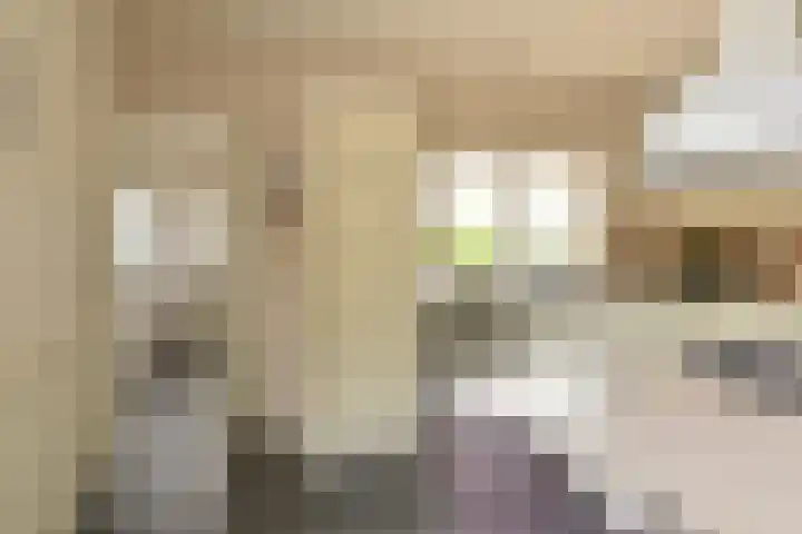 Kevelinglaan 8 Valthermond thumbnail 36