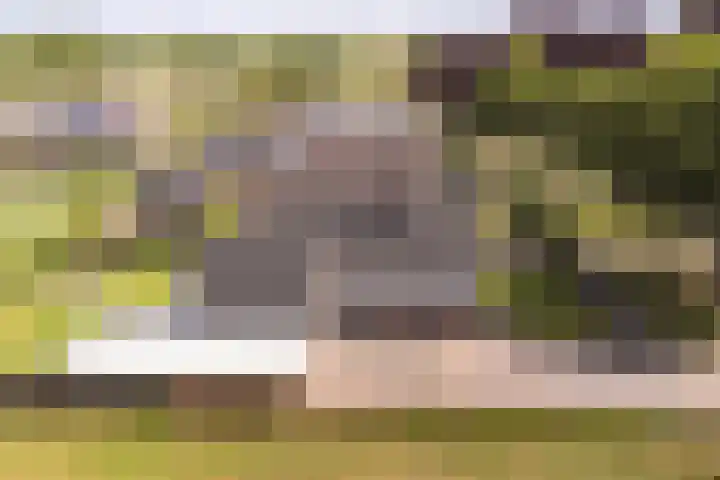 Kevelinglaan 8 Valthermond thumbnail 4
