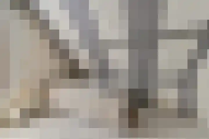 Kevelinglaan 8 Valthermond thumbnail 48
