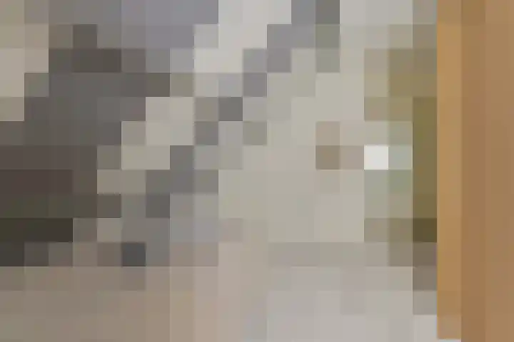 Kevelinglaan 8 Valthermond thumbnail 49