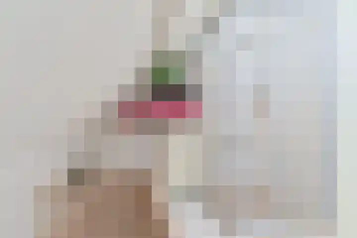 Kevelinglaan 8 Valthermond thumbnail 56